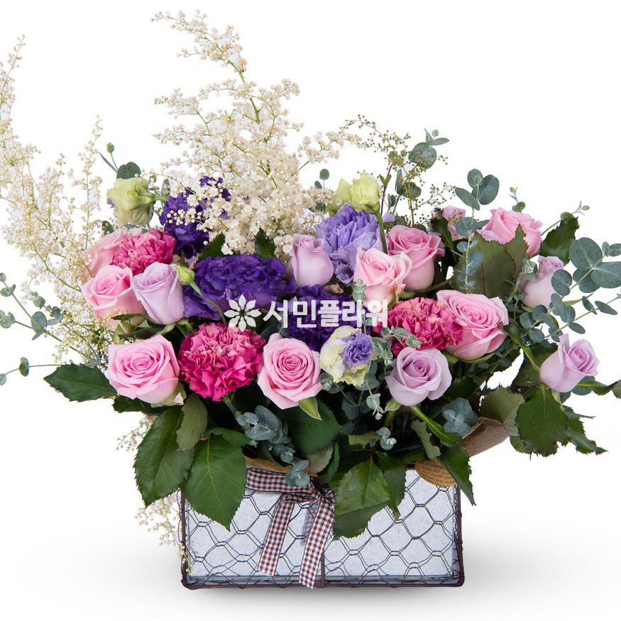 상세이미지