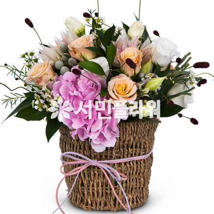 핑크옐로우[예약]