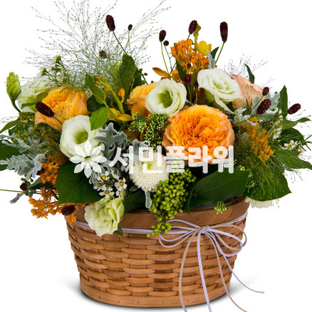 그대에게보내는사랑 A50
