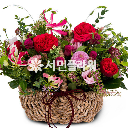 특별한분에게