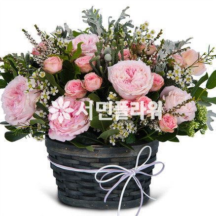 푸른하늘 a5006