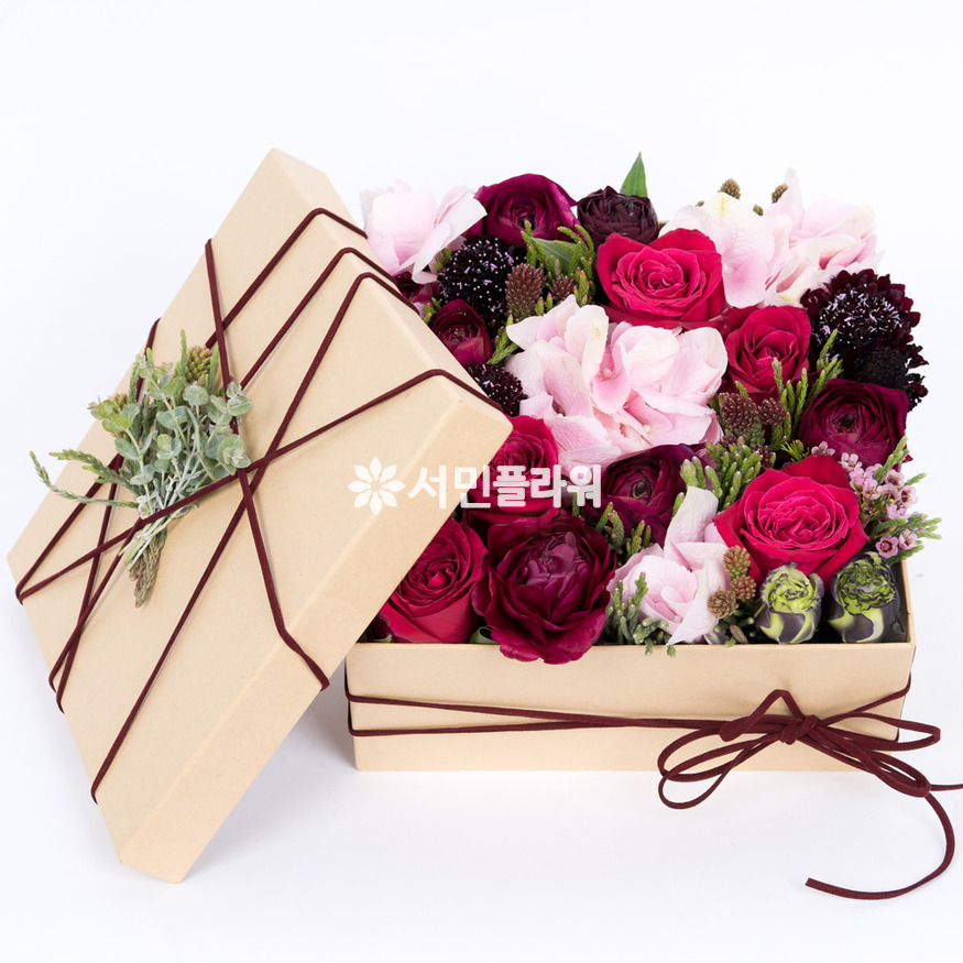 상세이미지