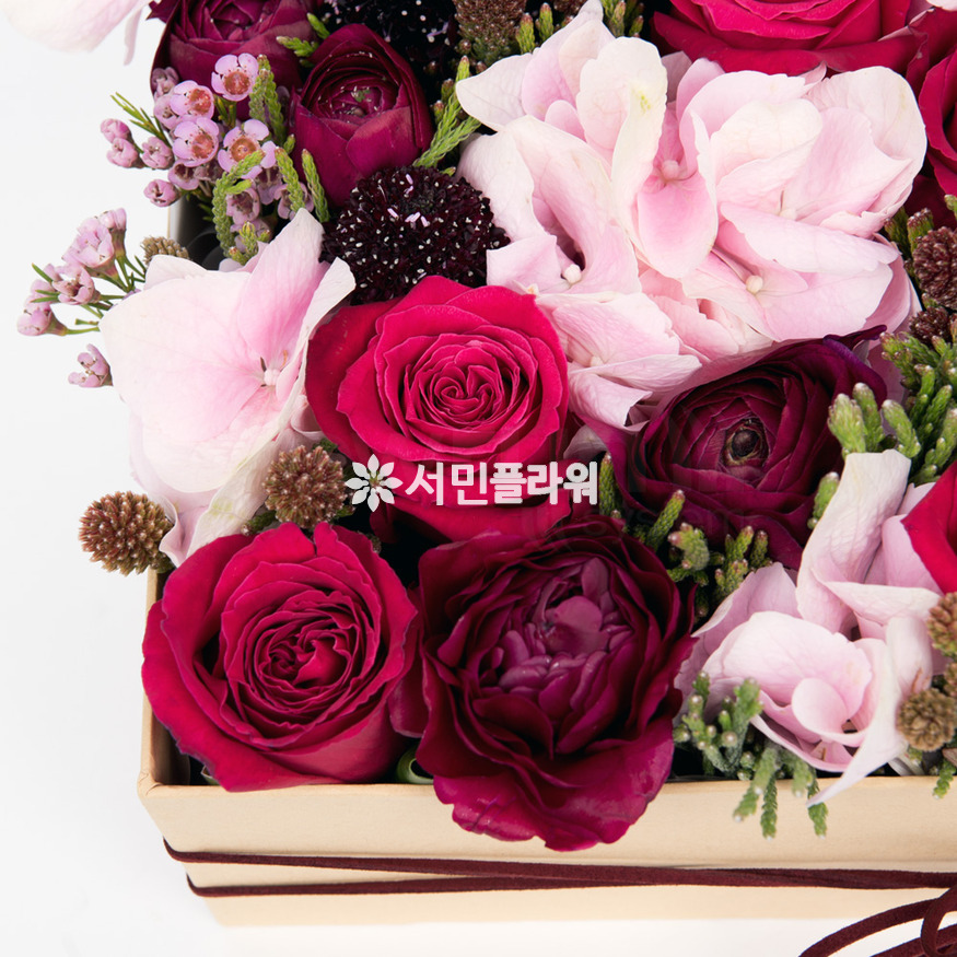 상세이미지