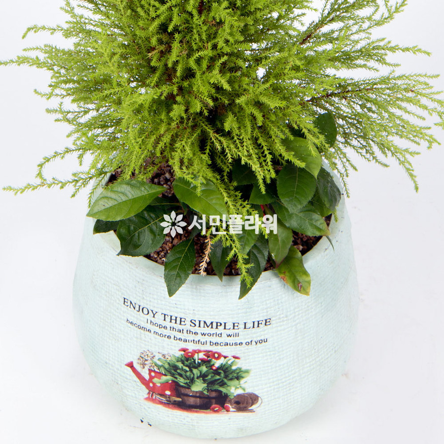 상세이미지