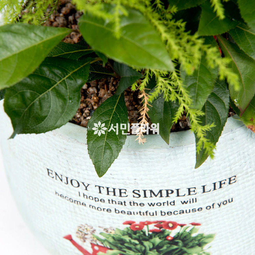 상세이미지