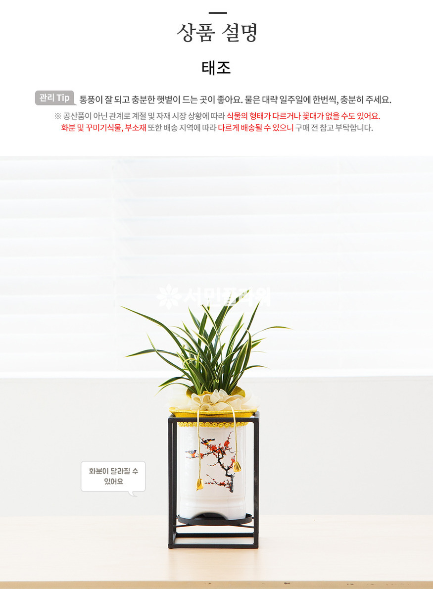 상세이미지