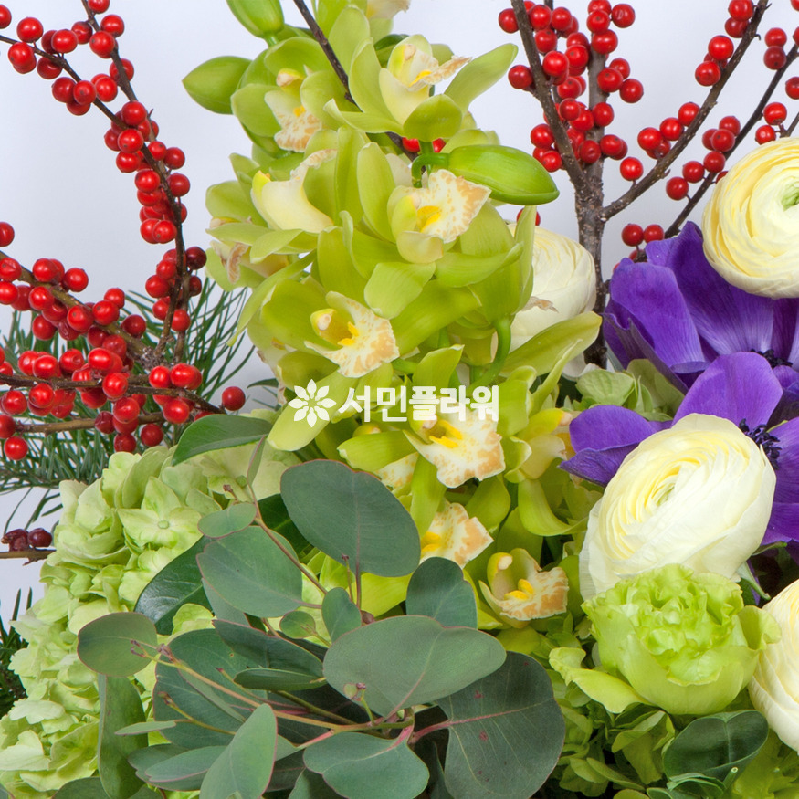 상세이미지