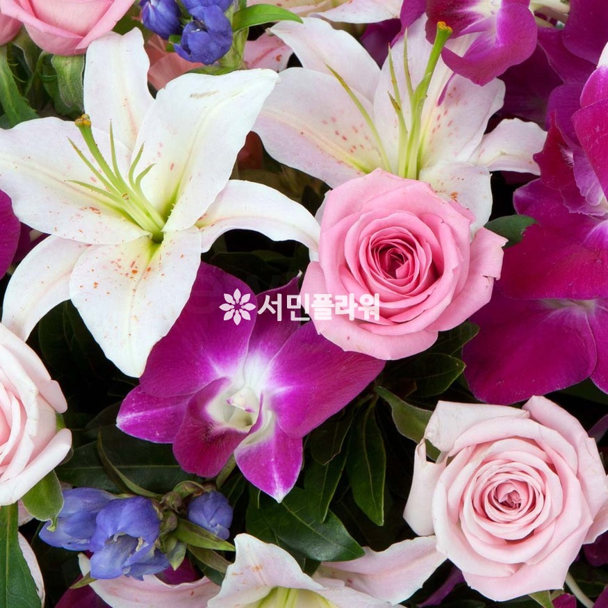 상세이미지