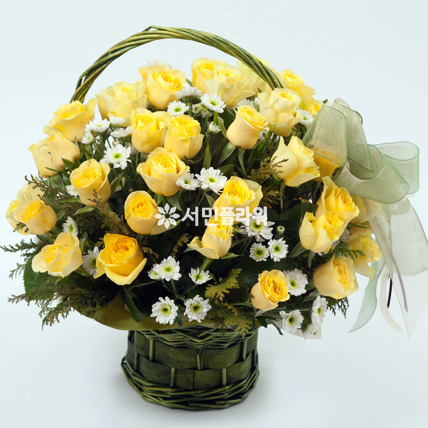 상세이미지