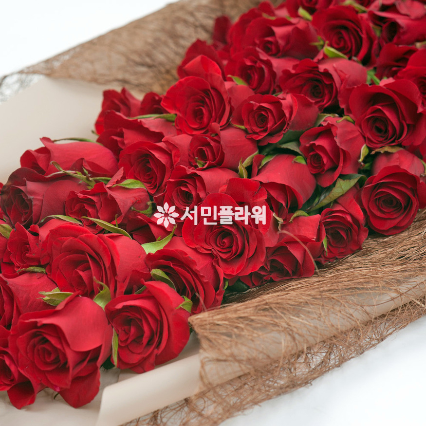 상세이미지