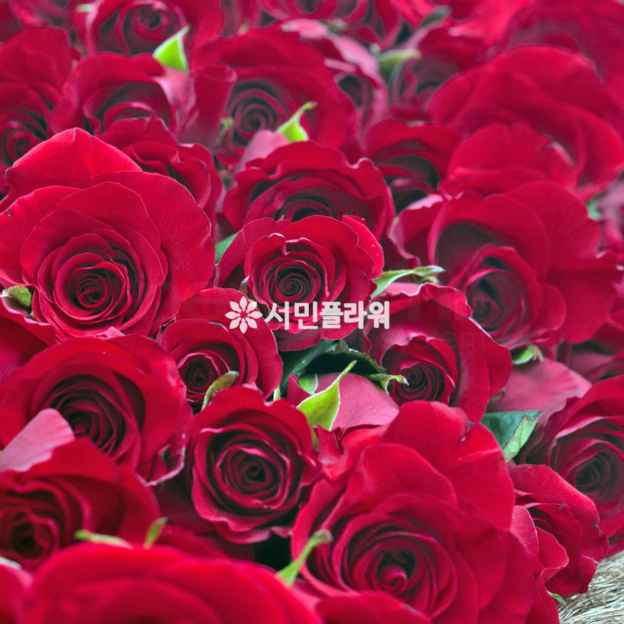 상세이미지