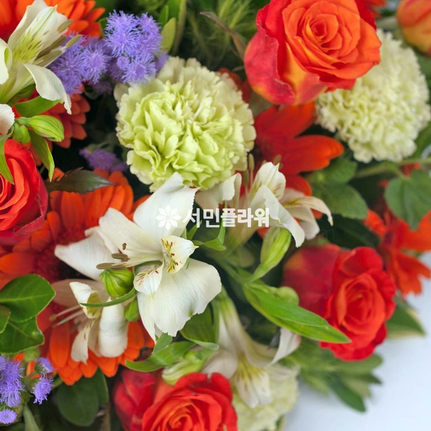 상세이미지