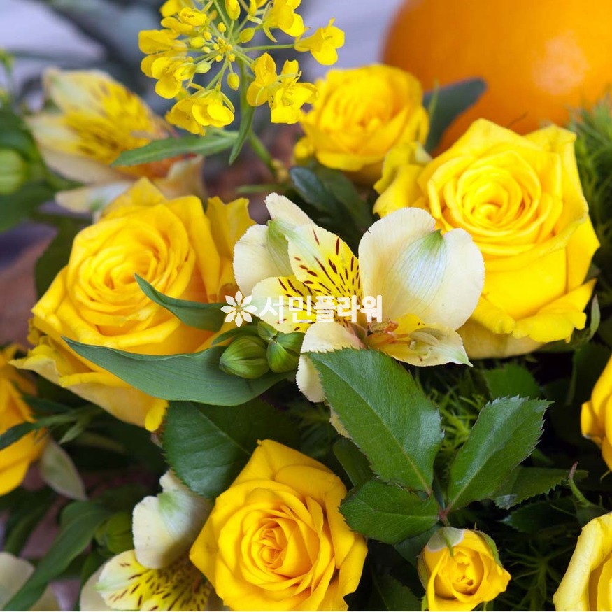 상세이미지