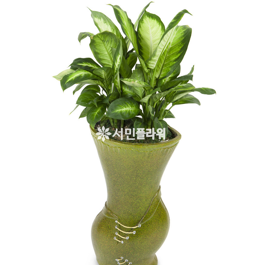 상세이미지