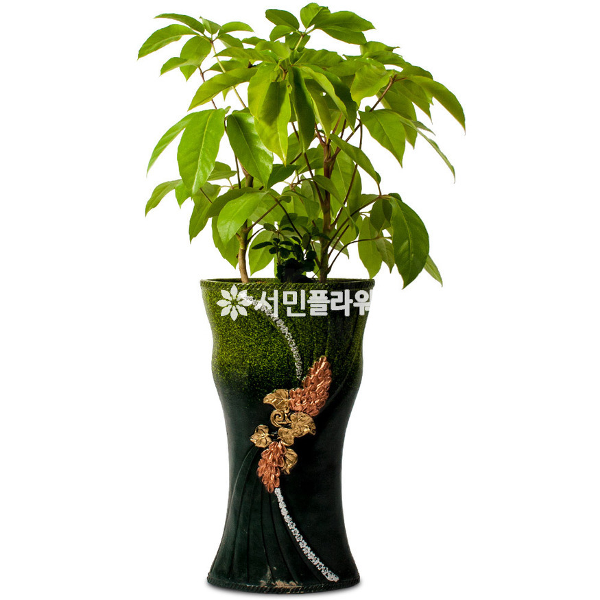 상세이미지
