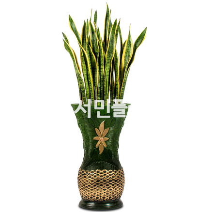 산세베리아-마블화분