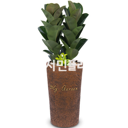 고무나무(마블화분)