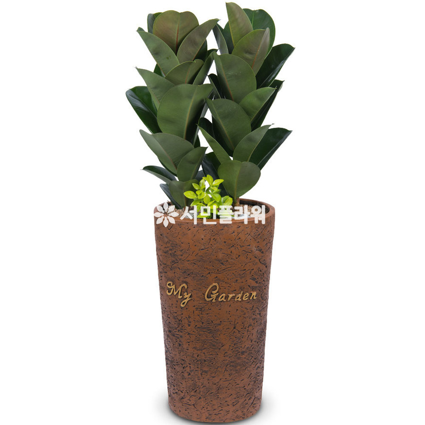 상세이미지