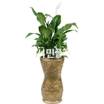 스파트필름 마블화분