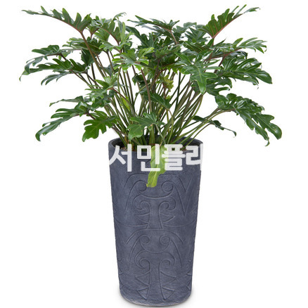 셀렘-마블