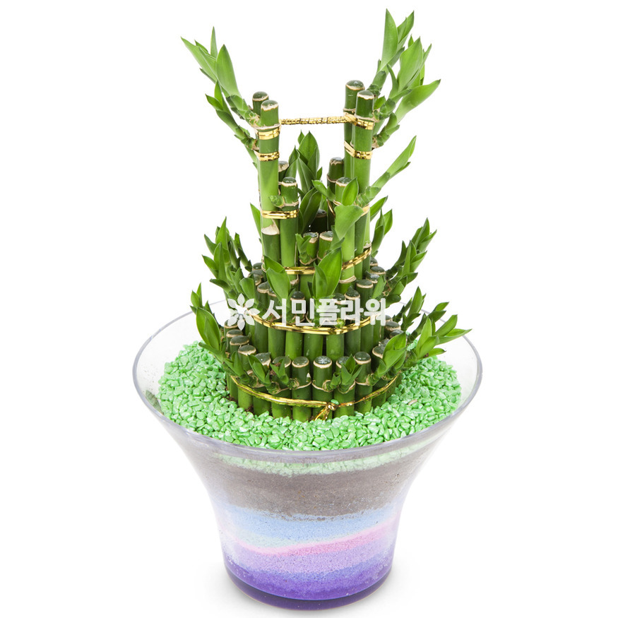 상세이미지