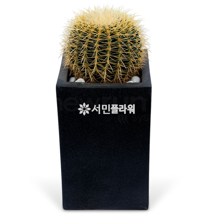 상세이미지