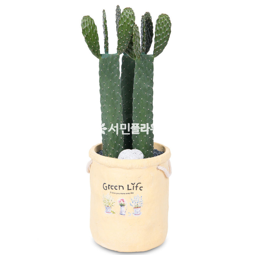 상세이미지