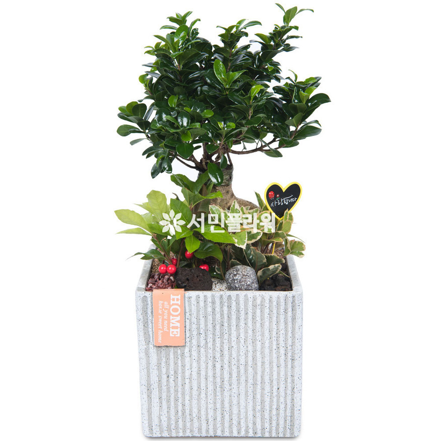 상세이미지