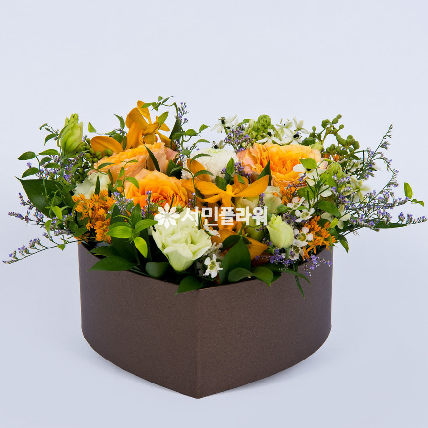 상세이미지