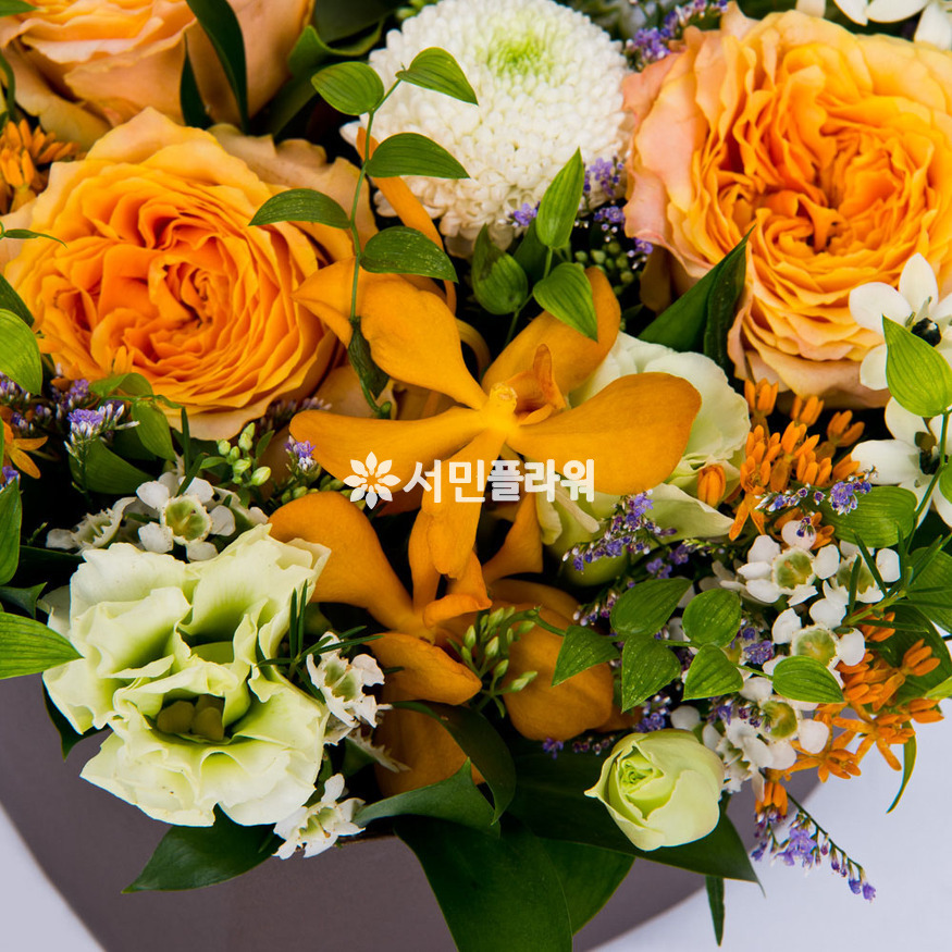 상세이미지