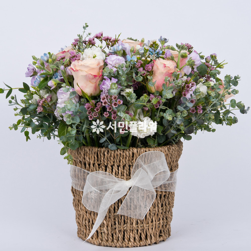 상세이미지