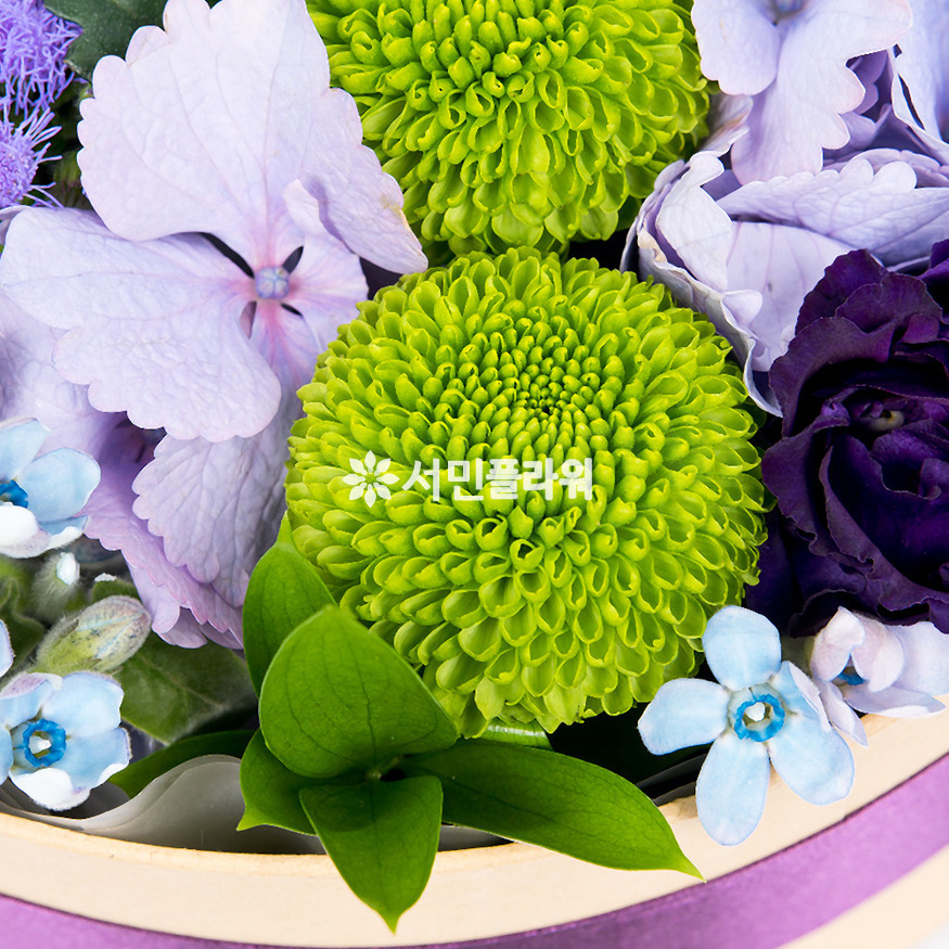 상세이미지