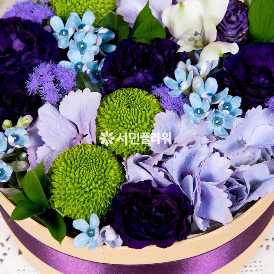 상세이미지