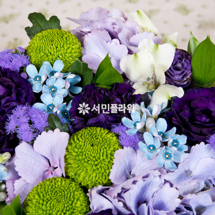 상세이미지