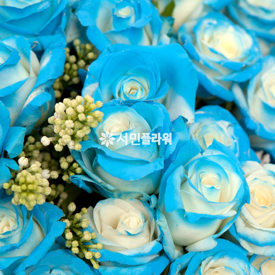 상세이미지