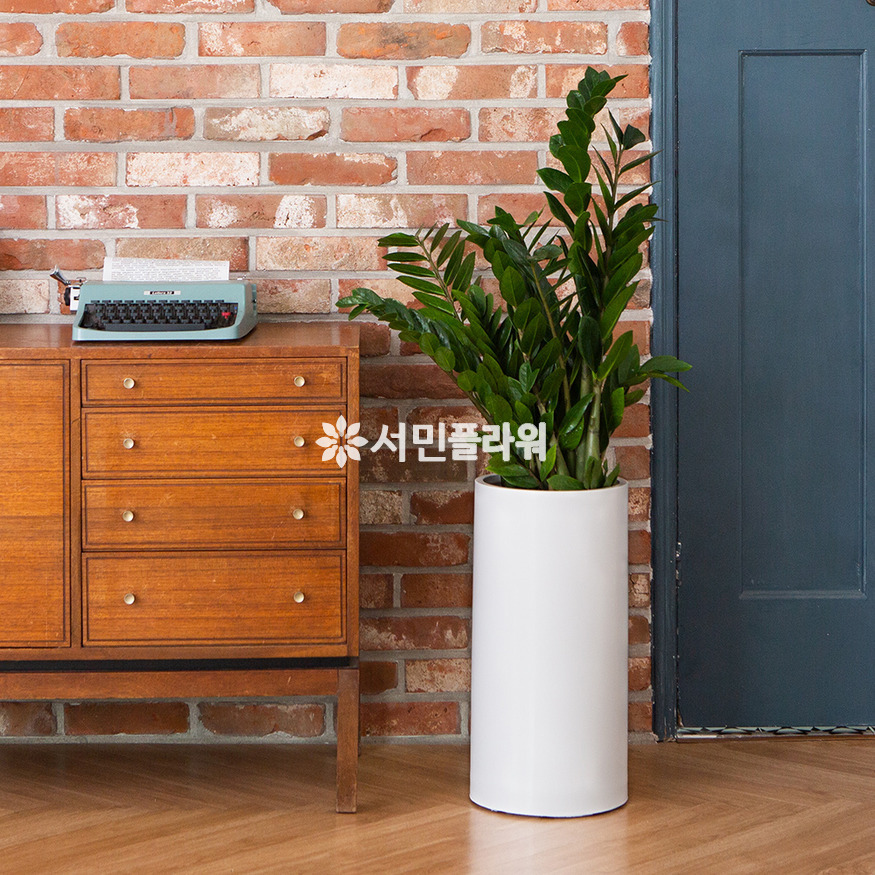 상세이미지