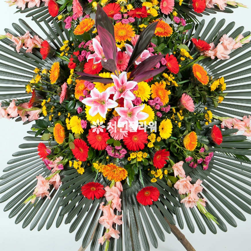 상세이미지