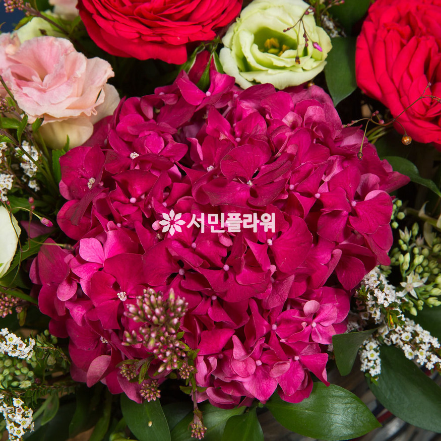 상세이미지