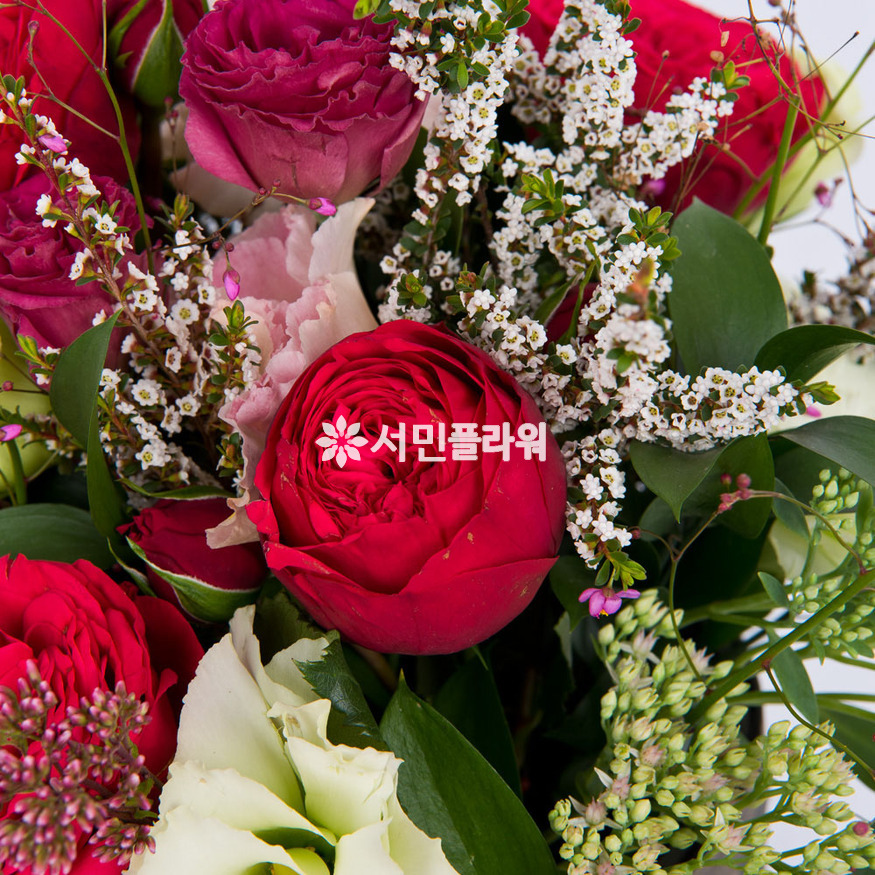 상세이미지
