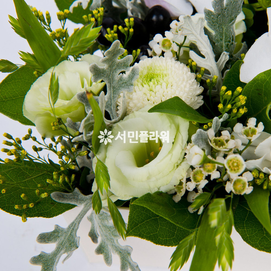 상세이미지