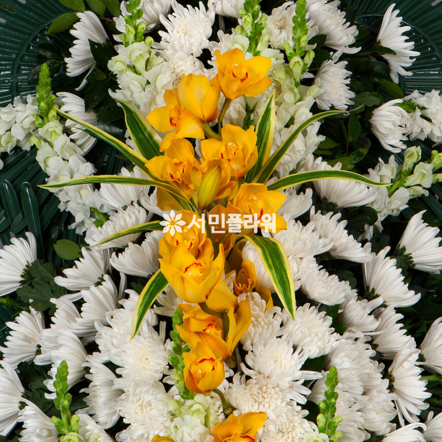 상세이미지