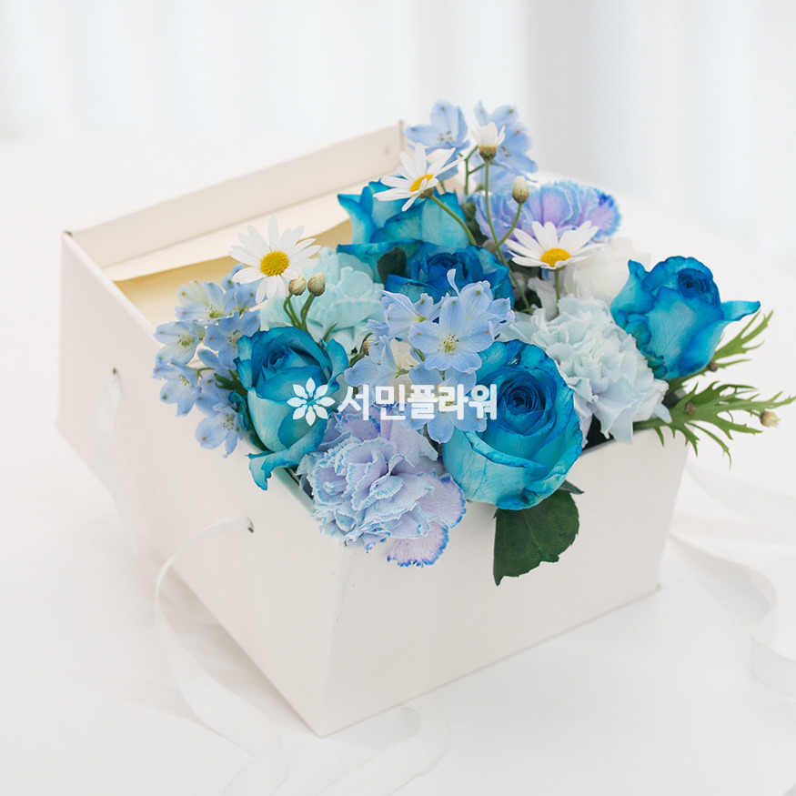 상세이미지