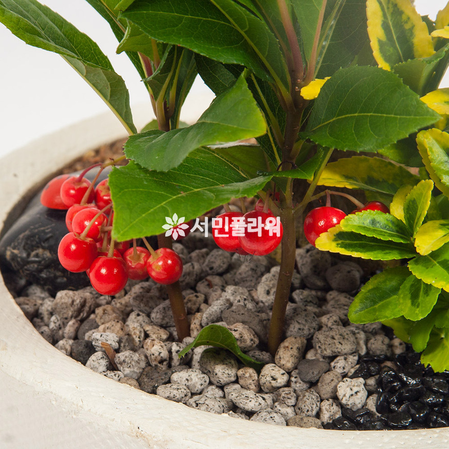 상세이미지