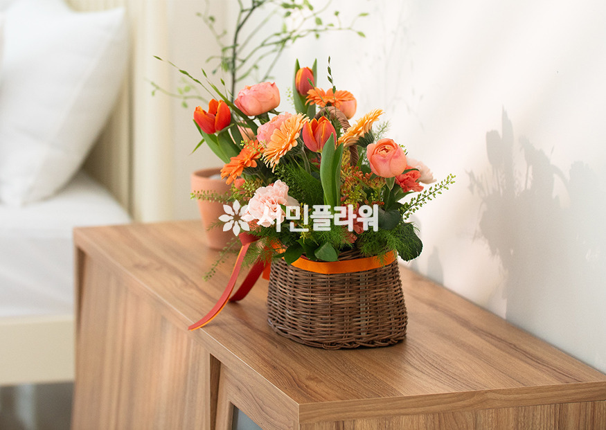 상세이미지