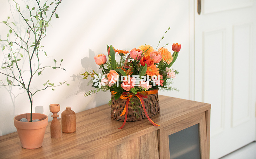 상세이미지