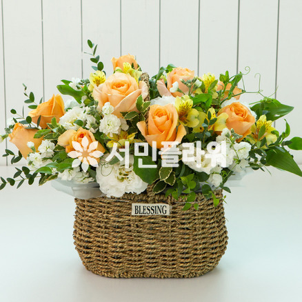 화이트 오렌지