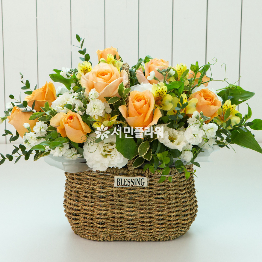 상세이미지