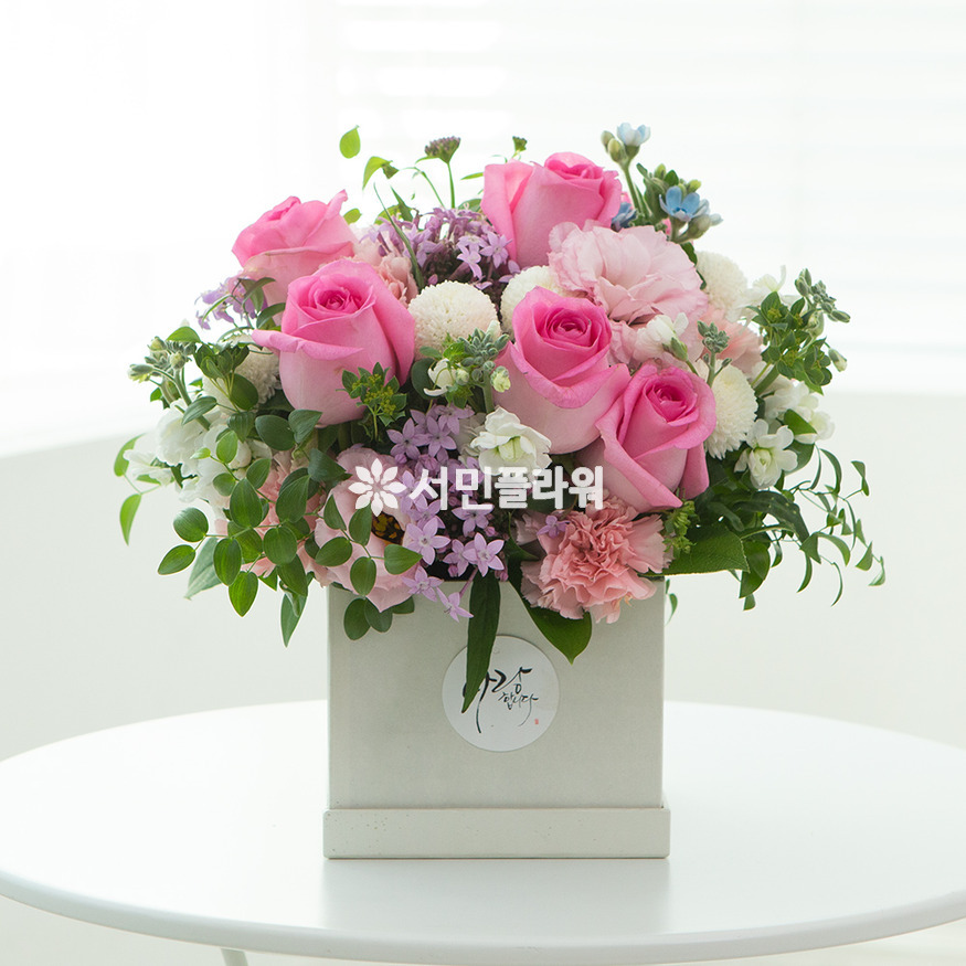 상세이미지