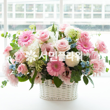 예감 좋은 날
