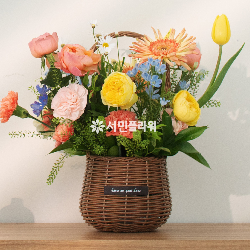 상세이미지